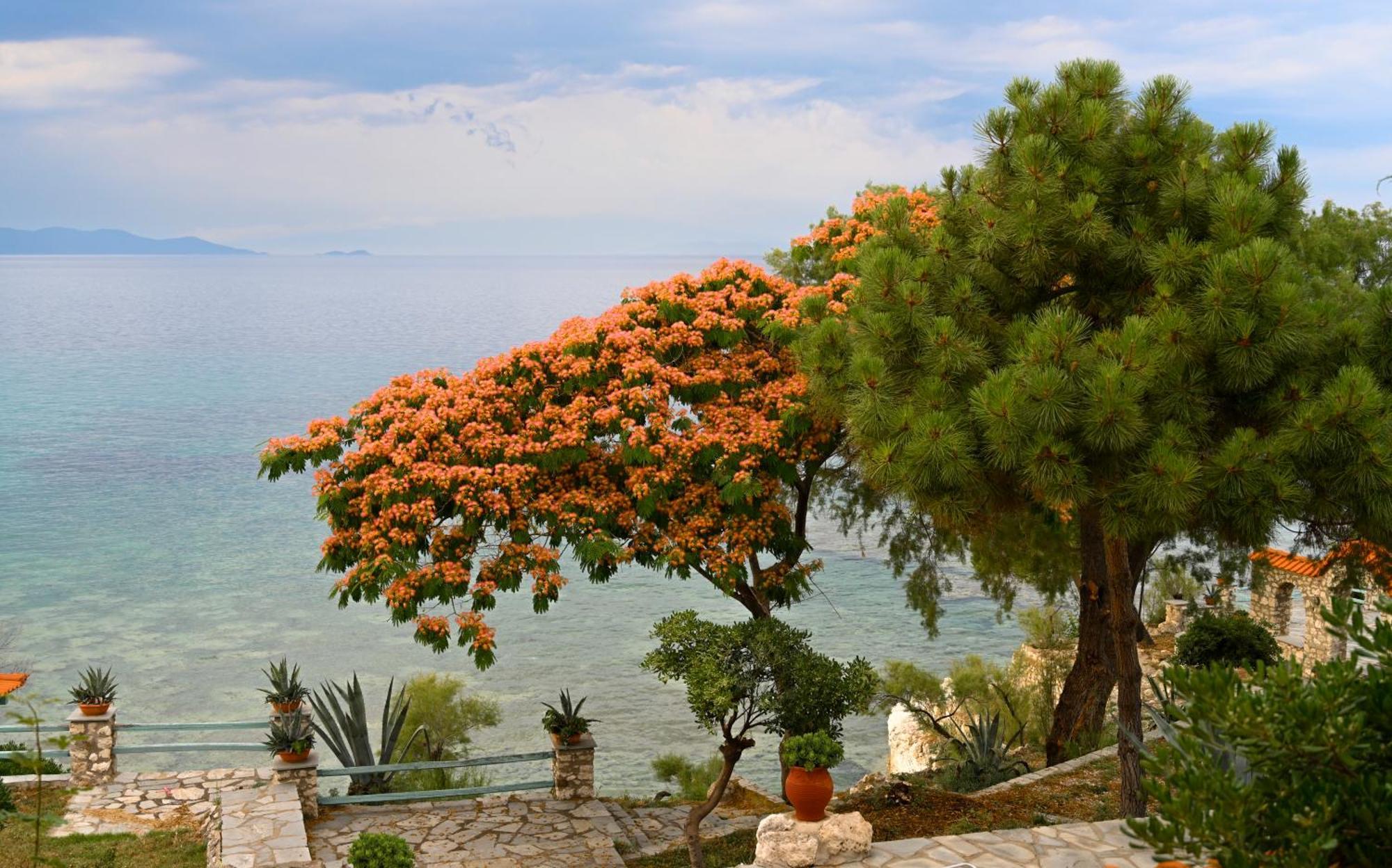 Kiparissi Villa Halkidiki Ierissos Eksteriør billede